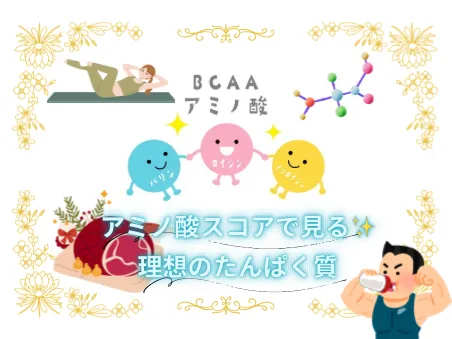 アミノ酸スコア高い理想たんぱく質食材